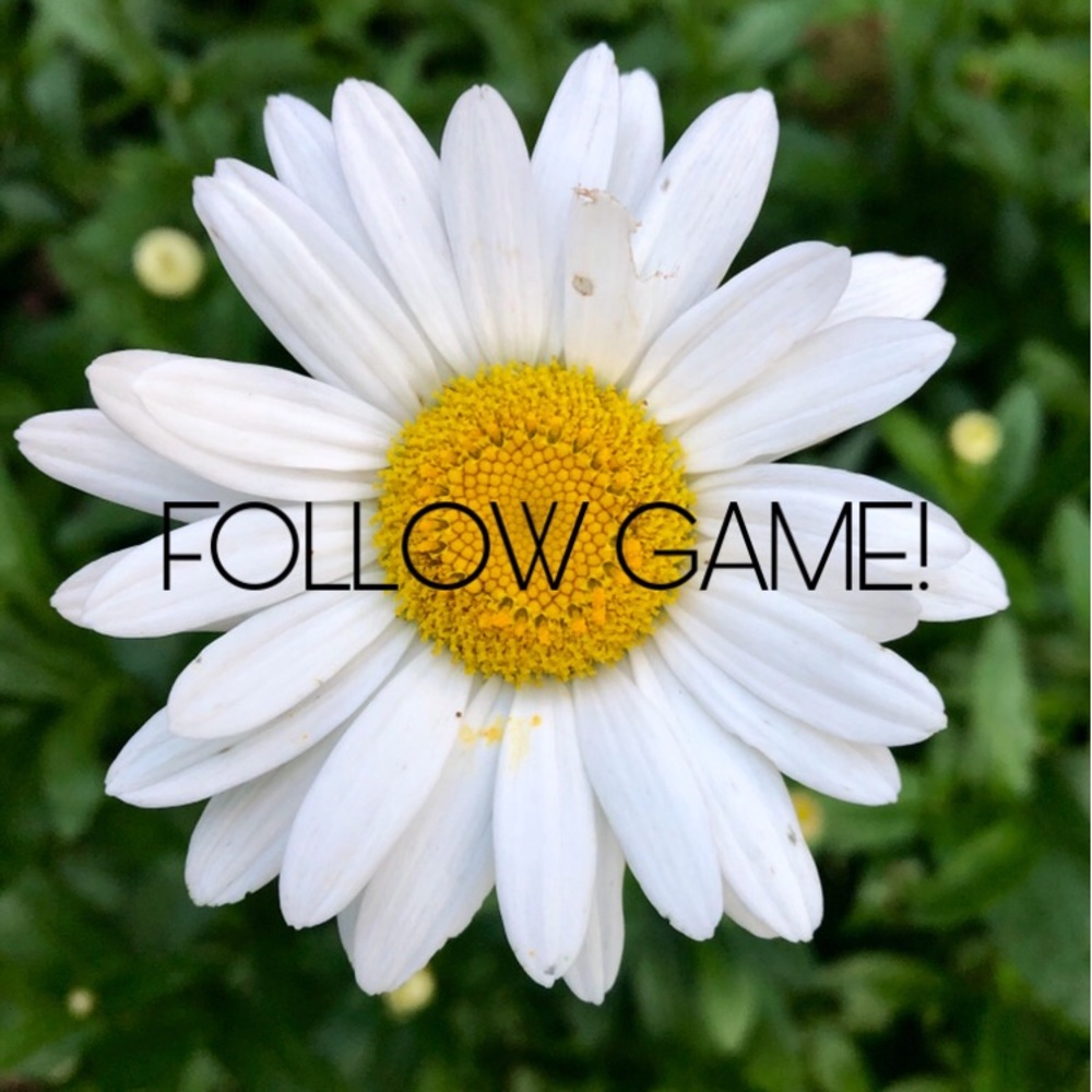 Follow game!
